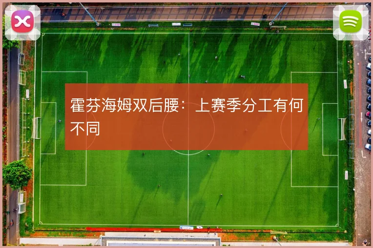 霍芬海姆双后腰：上赛季分工有何不同