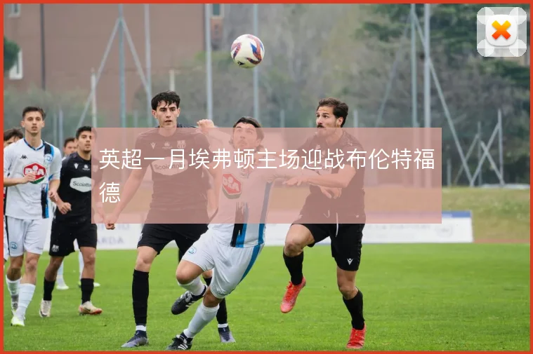 英超一月埃弗顿主场迎战布伦特福德